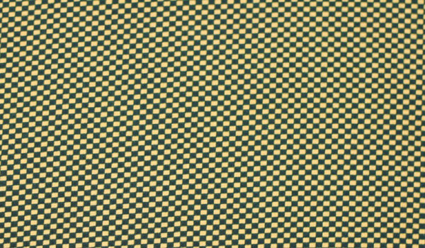 62000900.jpg