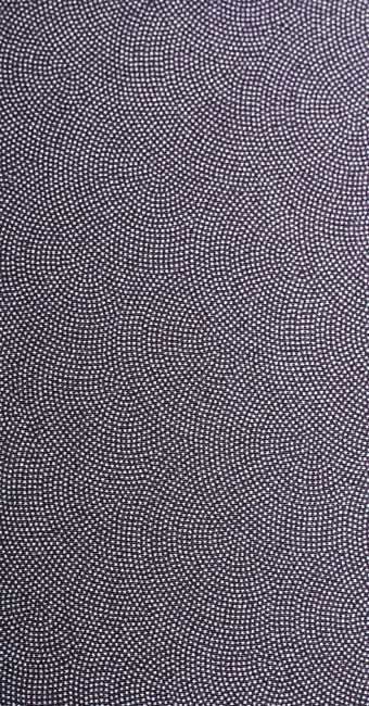 5006007.jpg