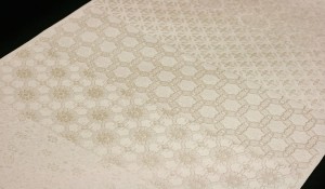 IMG_1365